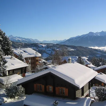 Apartment Loup-blanc Anzere